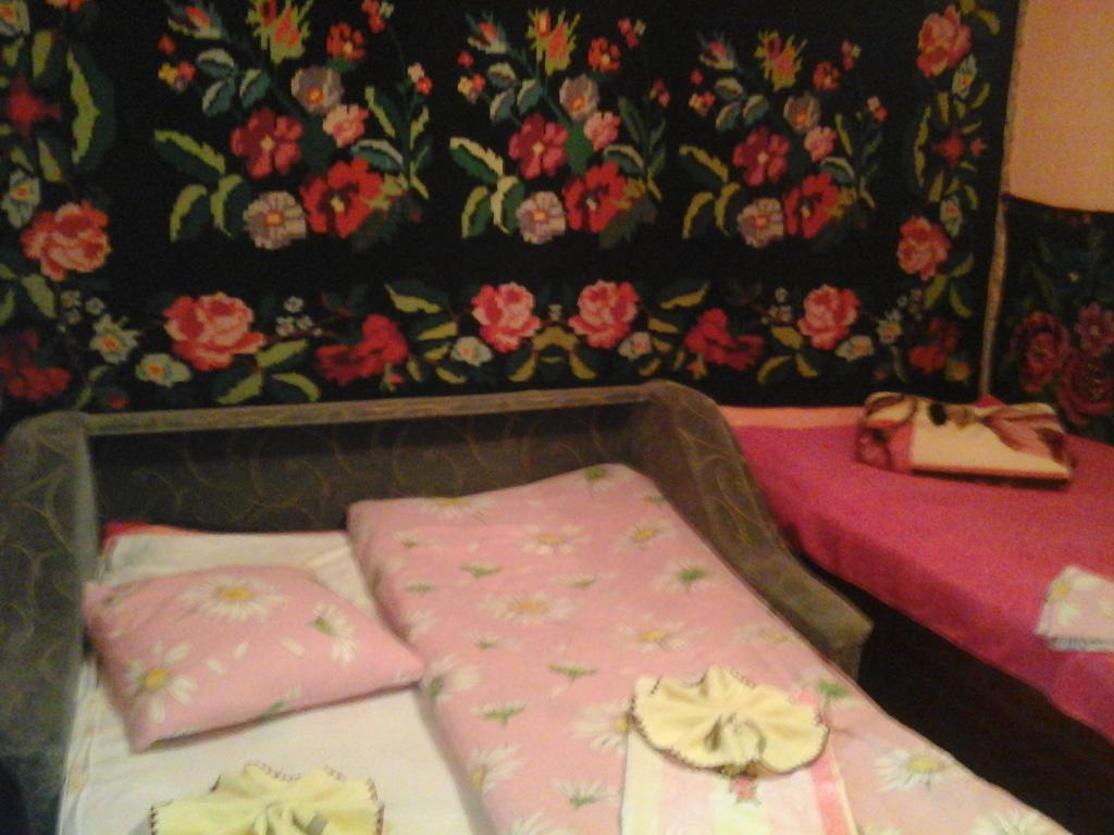 La Popas Hotel Orhei Buitenkant foto