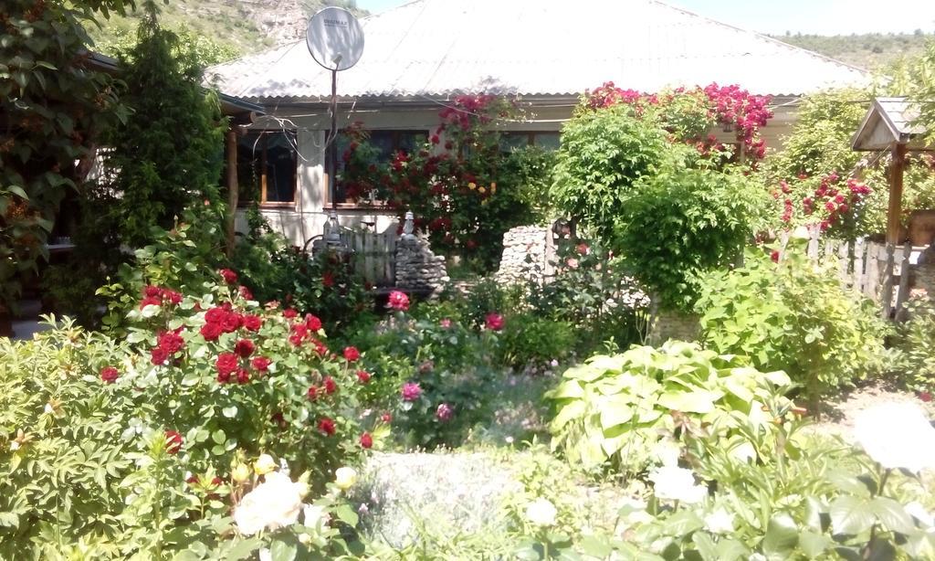 La Popas Hotel Orhei Buitenkant foto